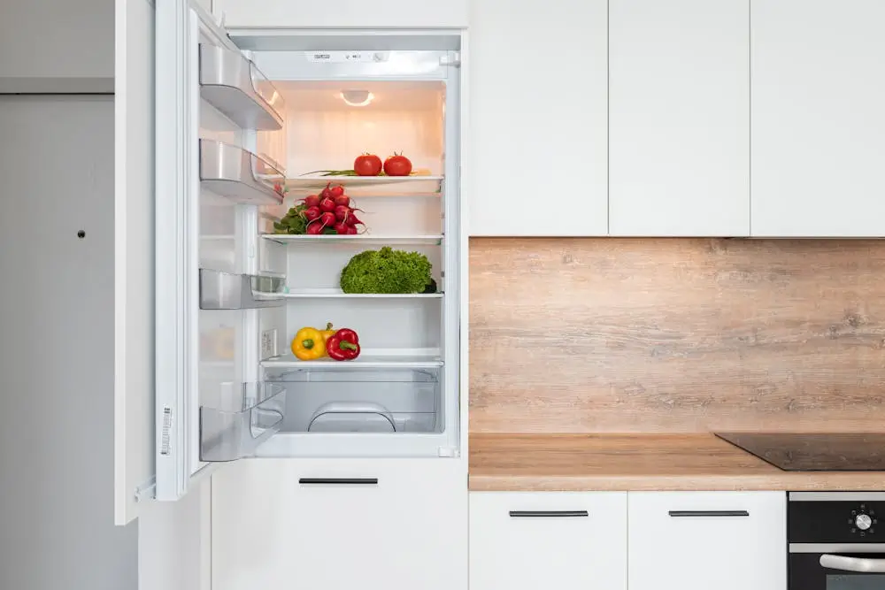 Fridge Repair